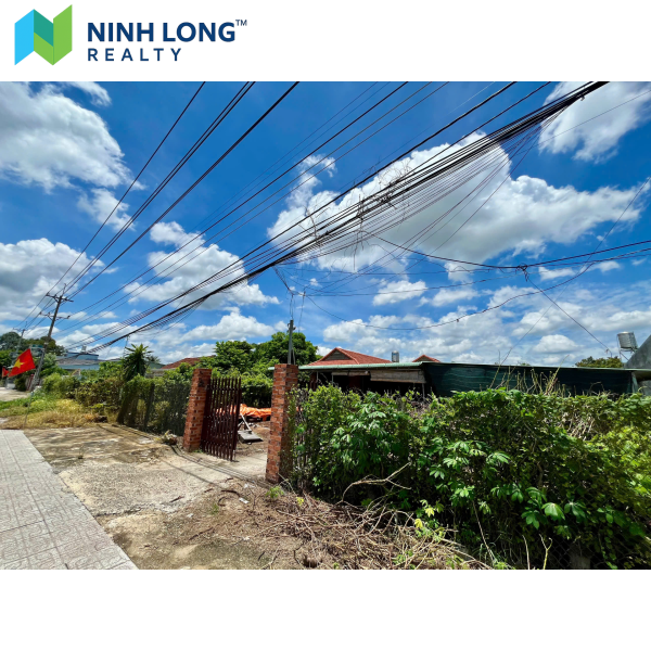 ? Nhà Vườn Rộng – Thích Hợp An Cư & Kinh Doanh ? - Ảnh 2
