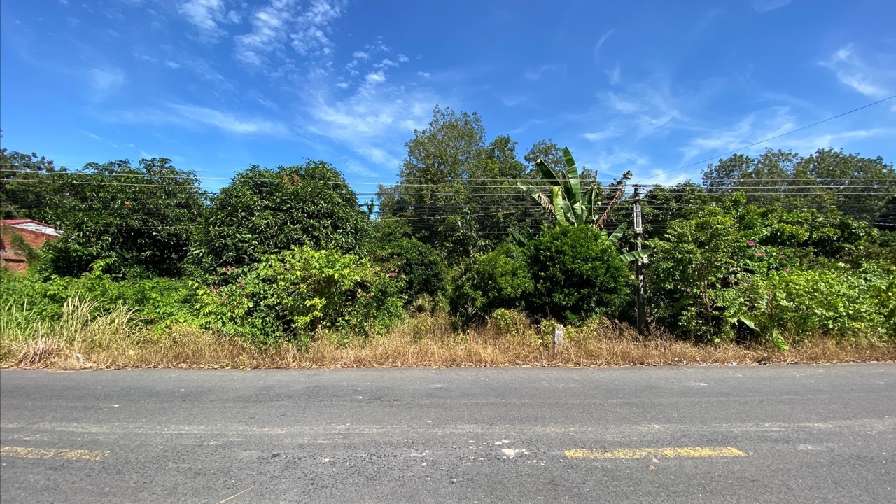 Bán đất mặt tiền đường liên xã gần chợ Thạnh Tân, thành phố Tây Ninh 2 Bán đất mặt tiền đường liên xã gần chợ Thạnh Tân, thành phố Tây Ninh - Ảnh 2