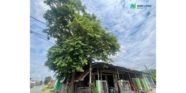 Căn Nhà 148m² – Góc 2 Mặt Tiền Đắc Địa, Giá Hợp Lý, Hỗ Trợ Trọn Gói - Ảnh 2