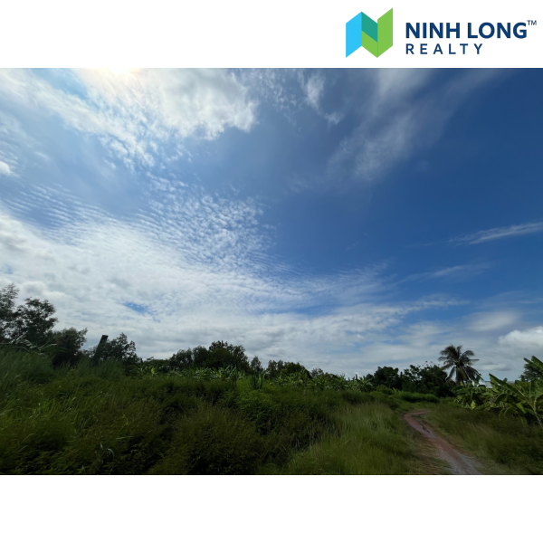 SIÊU PHẨM ĐẤT NỀN 9.000m² VỊ TRÍ VÀNG GẦN CẢNG BẾN KÉO