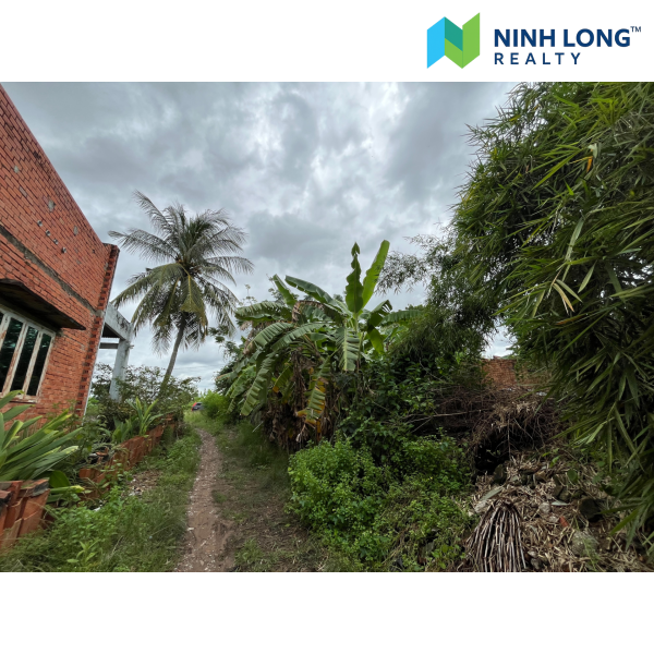 SIÊU PHẨM ĐẤT NỀN 9.000m² VỊ TRÍ VÀNG GẦN CẢNG BẾN KÉO - Ảnh 2