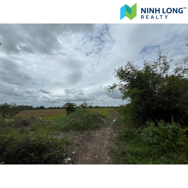 SIÊU PHẨM ĐẤT NỀN 9.000m² VỊ TRÍ VÀNG GẦN CẢNG BẾN KÉO - Ảnh 3