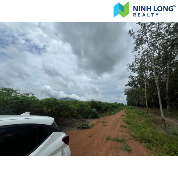 CƠ HỘI HIẾM - QUỸ ĐẤT LỚN 70.000m2 VIEW NÚI BÀ ĐEN