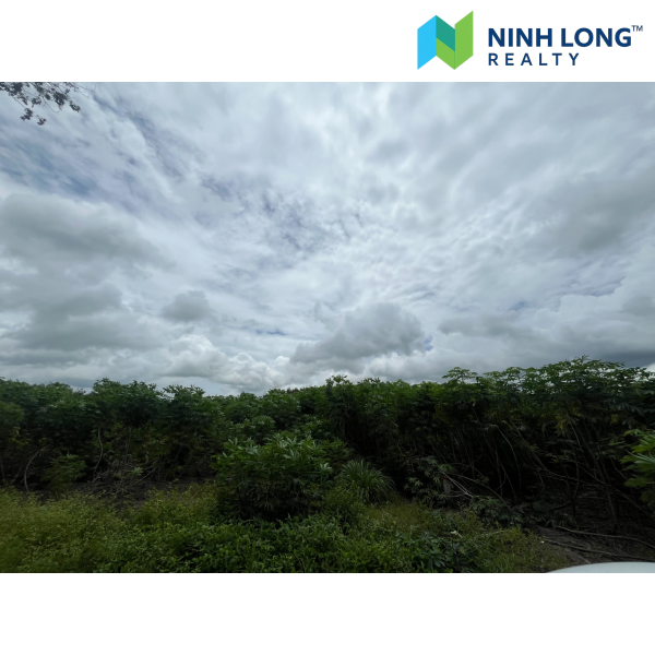 CƠ HỘI HIẾM - QUỸ ĐẤT LỚN 70.000m2 VIEW NÚI BÀ ĐEN - Ảnh 3