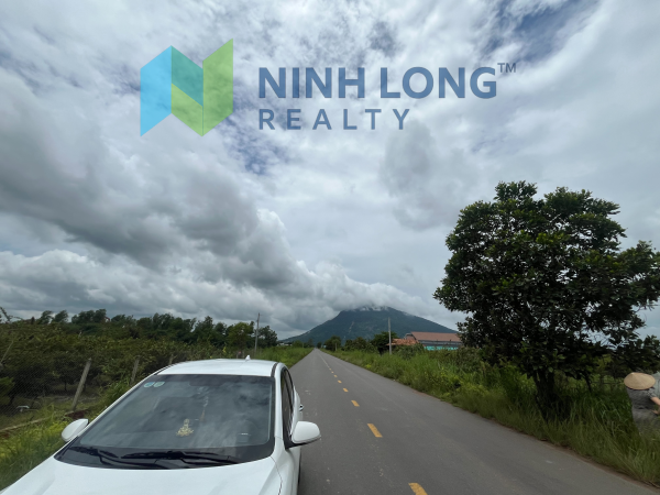 BÁN ĐẤT CÔNG VIEW NÚI BÀ ĐEN VỊ TRÍ ĐẸP TRÊN ĐƯỜNG DT790 - Ảnh 5